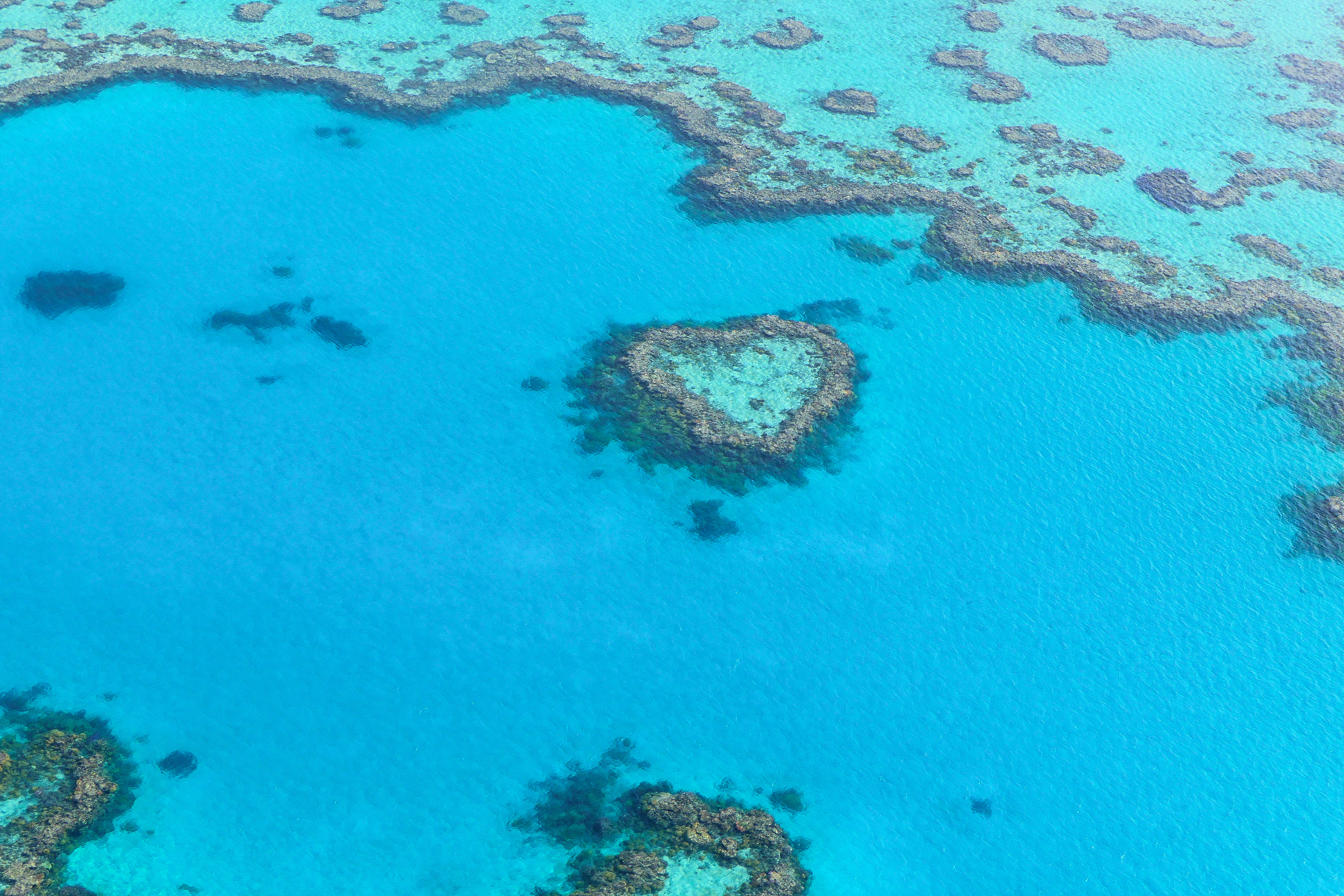Heart Reef
