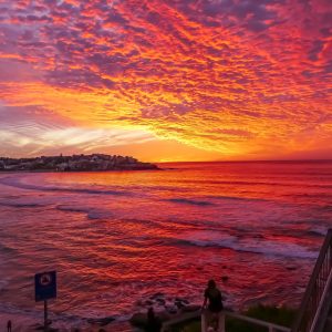 Bondi Fire